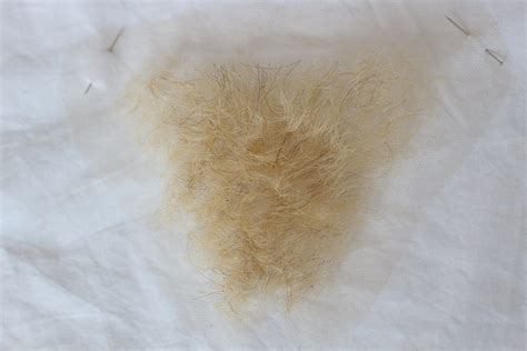 blond pubic hair